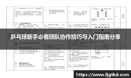 乒乓球新手必看团队协作技巧与入门指南分享